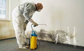 Best Emergency Mold Remediation  in Spanay, WA