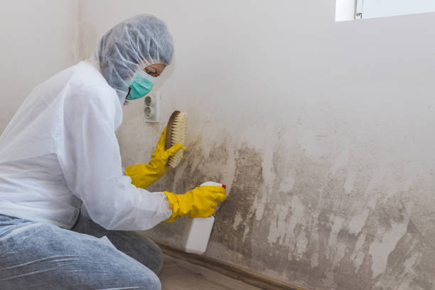 Best Mold Remediation for Healthcare Facilities  in Spanay, WA